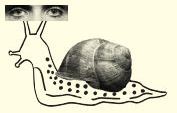 snail.sketch-oo